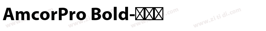 AmcorPro Bold字体转换
